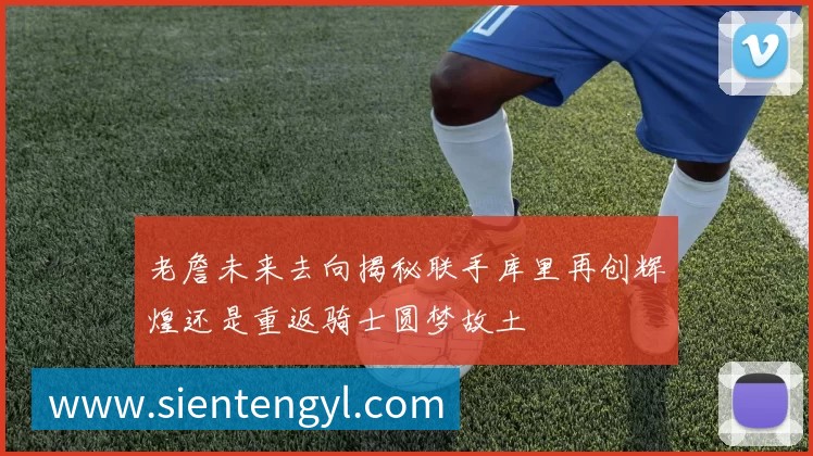 老詹未来去向揭秘联手库里再创辉煌还是重返骑士圆梦故土