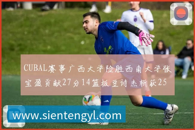 奖项证书