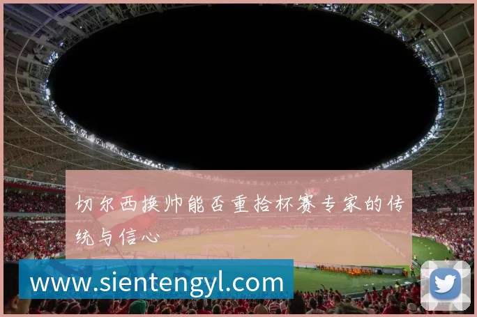 切尔西换帅能否重拾杯赛专家的传统与信心